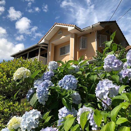 Villa Relax Fujikawaguchiko Exterior foto